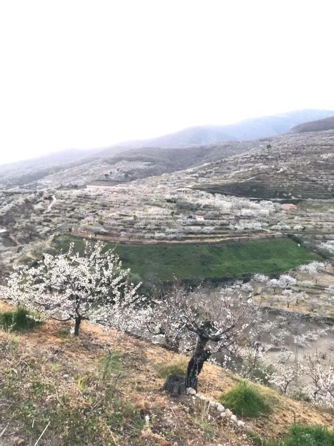 La Escondida Villa Tornavacas Eksteriør billede